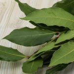 photo_5195306069352629725_y