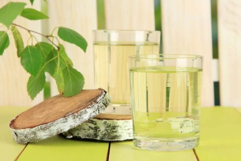 photo_5336780140304256856_y